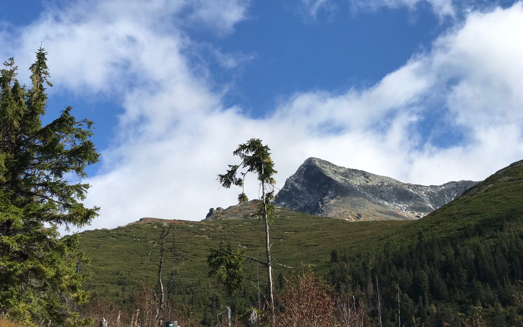 Journey Before Destination