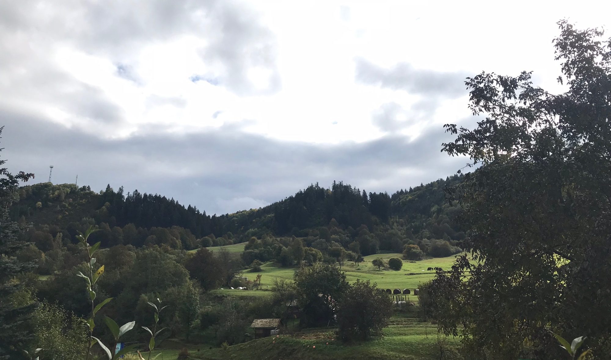 Journey Before Destination